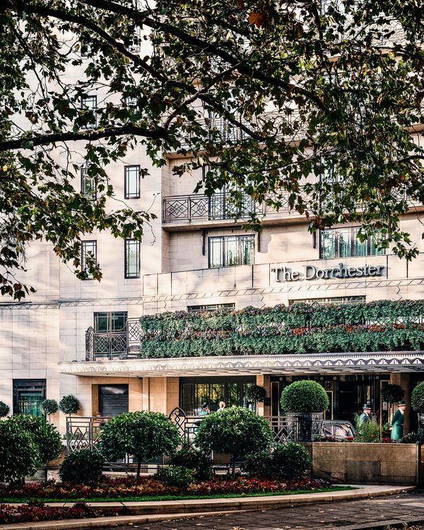Séjournez à l'hôtel des marronniers : un jardin secret à paris